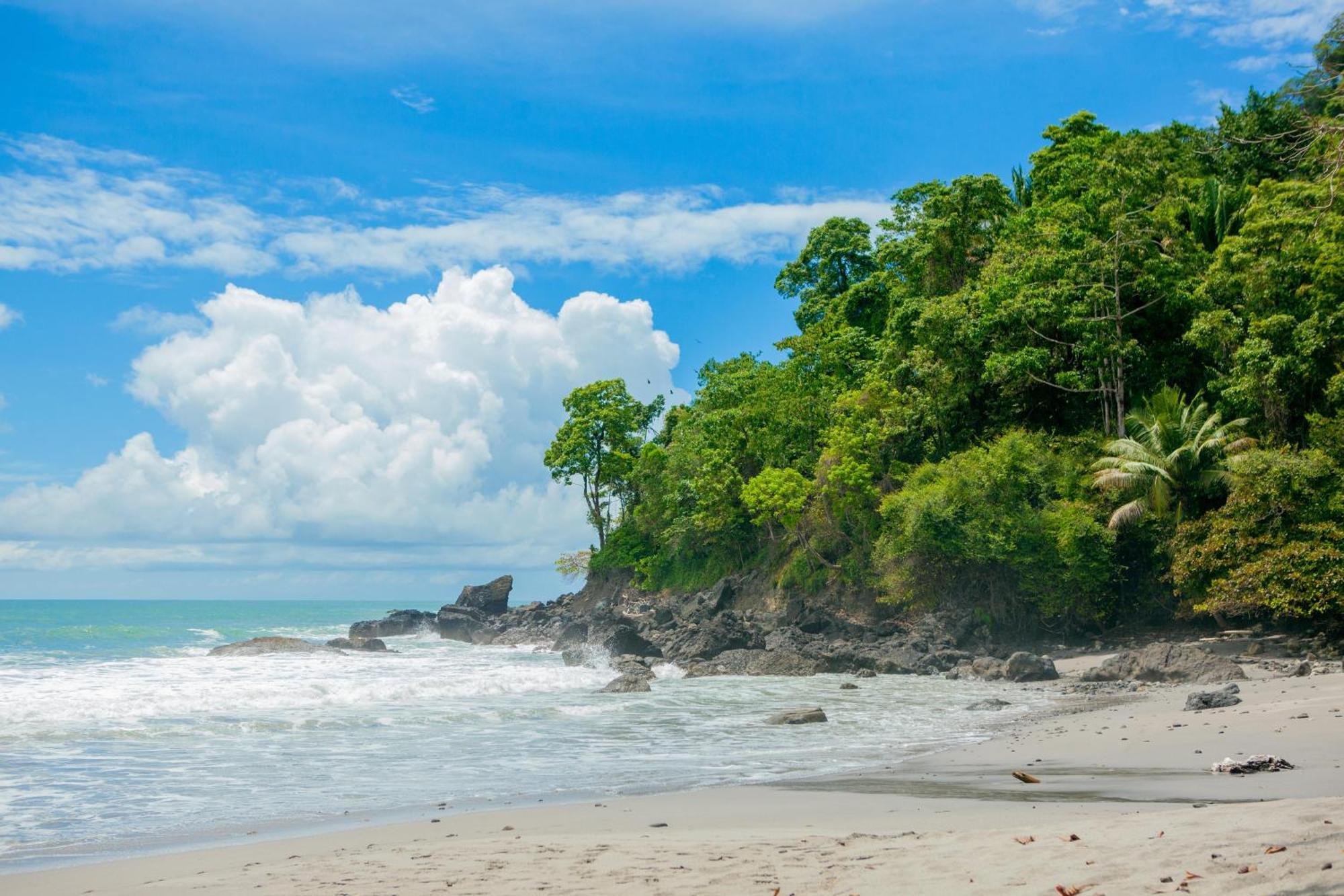 Arenas Del Mar Beachfront & Rainforest Resort Member Of The Cayuga Collection Manuel Antonio Exterior photo
