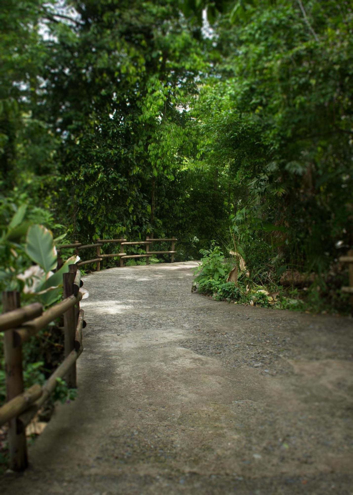 Arenas Del Mar Beachfront & Rainforest Resort Member Of The Cayuga Collection Manuel Antonio Exterior photo