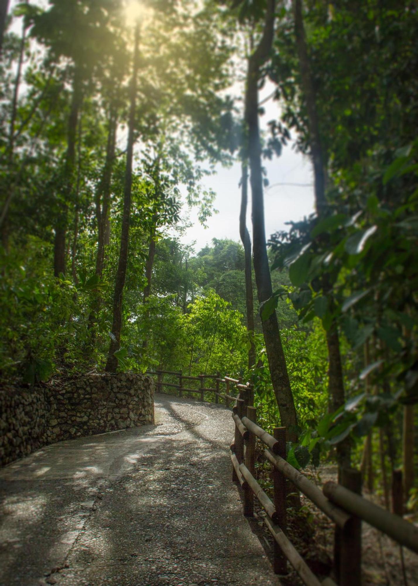 Arenas Del Mar Beachfront & Rainforest Resort Member Of The Cayuga Collection Manuel Antonio Exterior photo