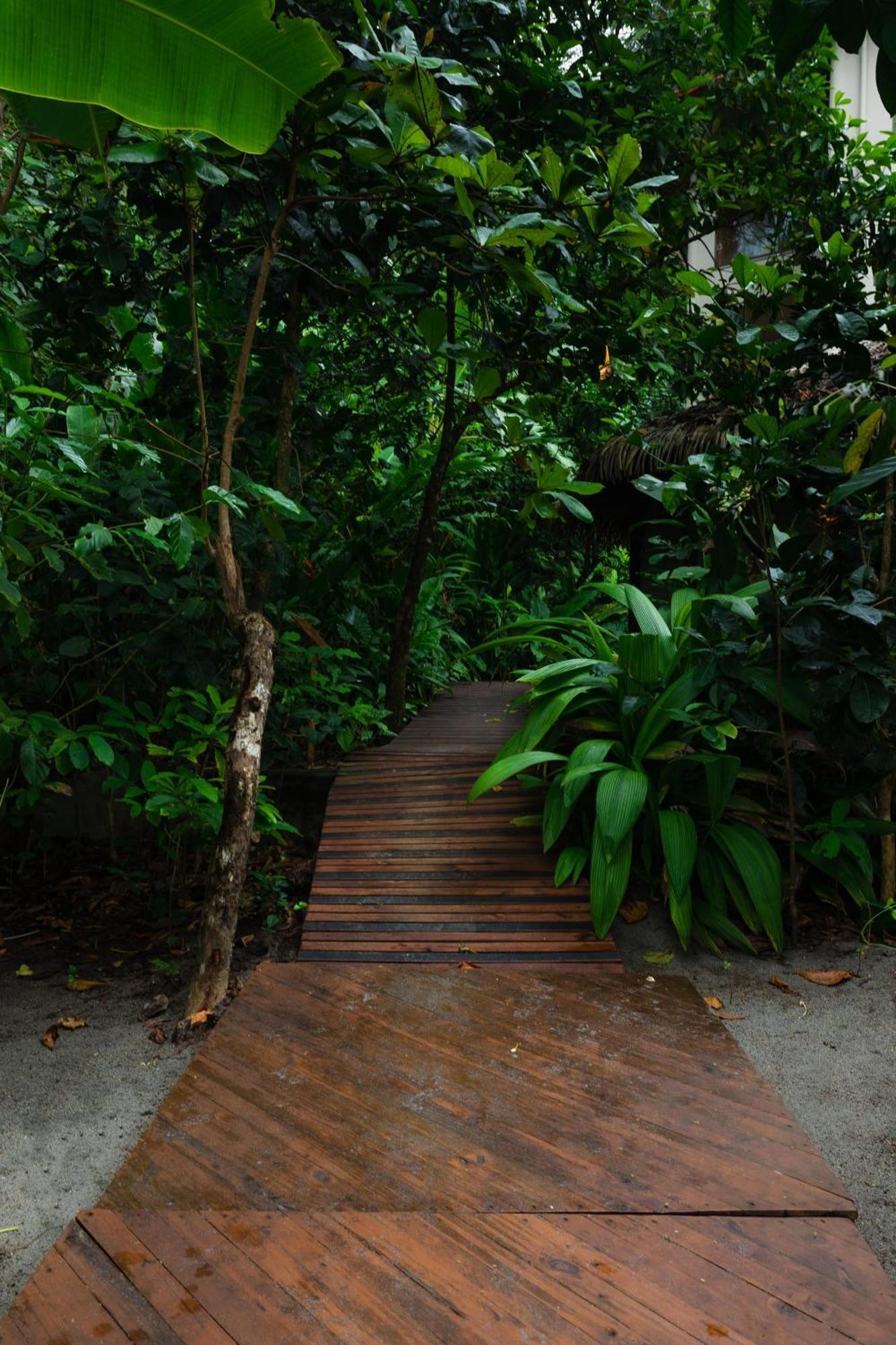 Arenas Del Mar Beachfront & Rainforest Resort Member Of The Cayuga Collection Manuel Antonio Exterior photo