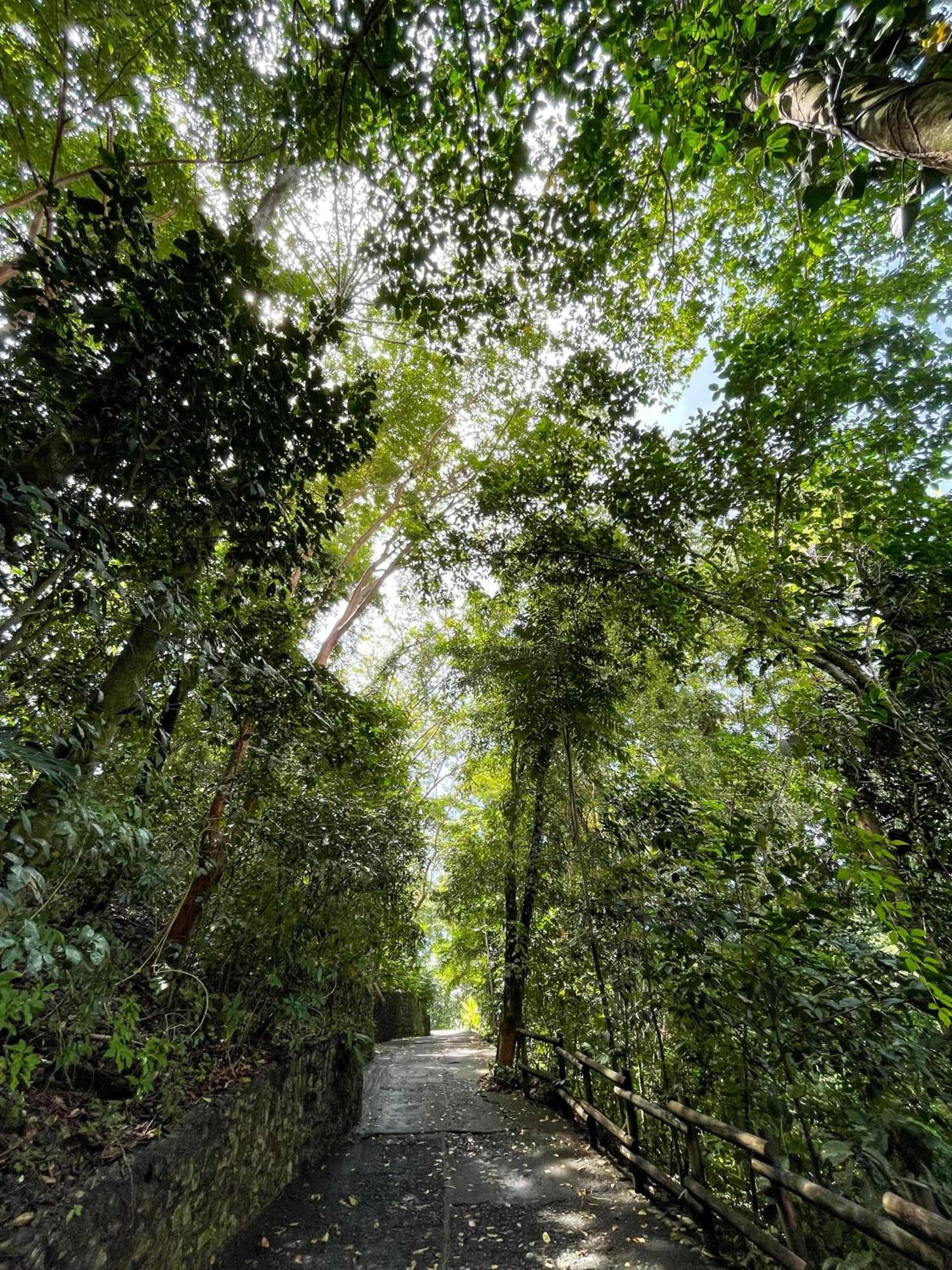 Arenas Del Mar Beachfront & Rainforest Resort Member Of The Cayuga Collection Manuel Antonio Exterior photo